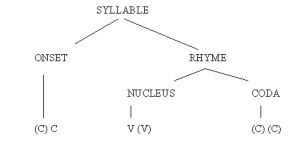 Syllable structure